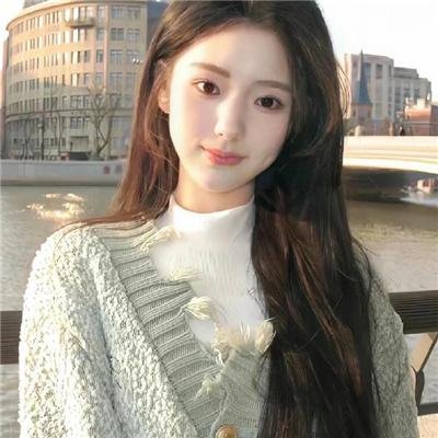 轻微盗窃案